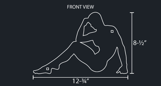 SEXY MAN - MUDFLAP MODEL