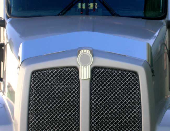 1 PC. 5" BUGSHIELD