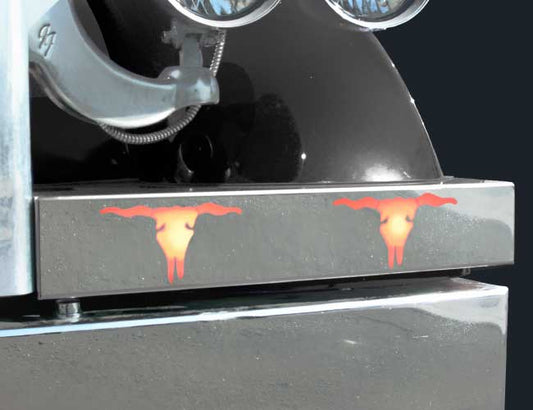 1 PR. FRONT BLINKER BAR W/BULL SKULL CUT OUTS