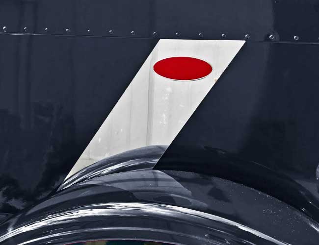 1 PR. 9" WIDE RACING STRIPE HOOD TRIM - 388 & 389